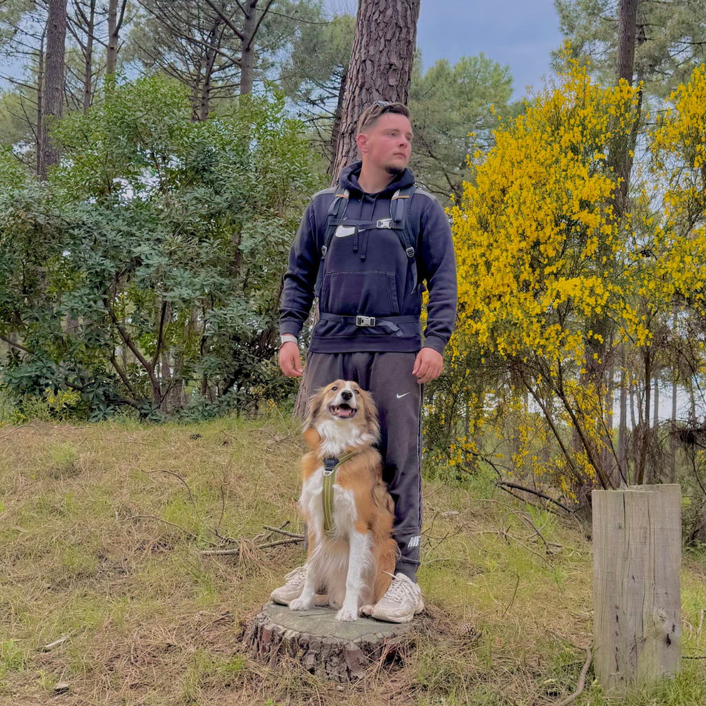 COMMENT DEVENIR PETSITTER ?