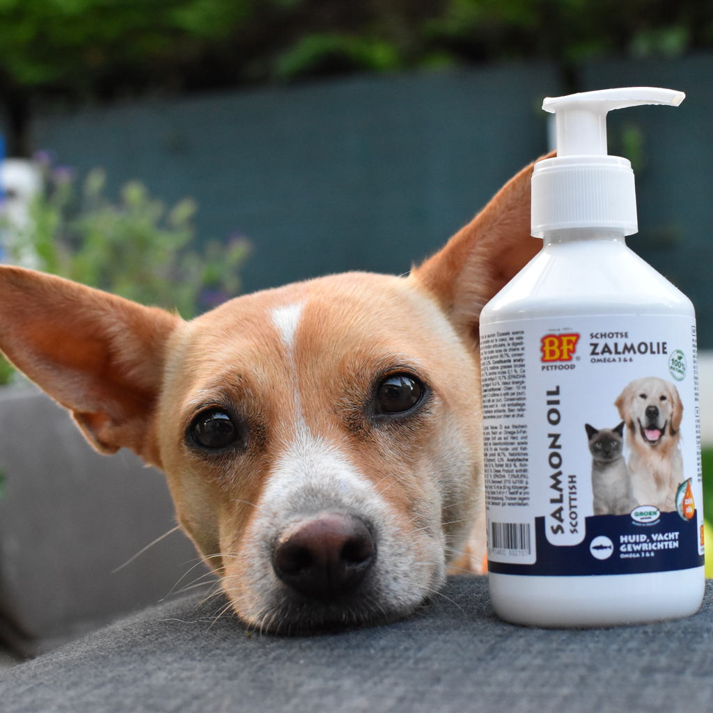 Huile De Saumon Sauvage : quels bienfaits ?