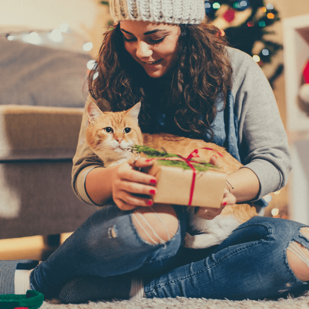 Notre sélection de cadeaux de Noël pour vos animaux