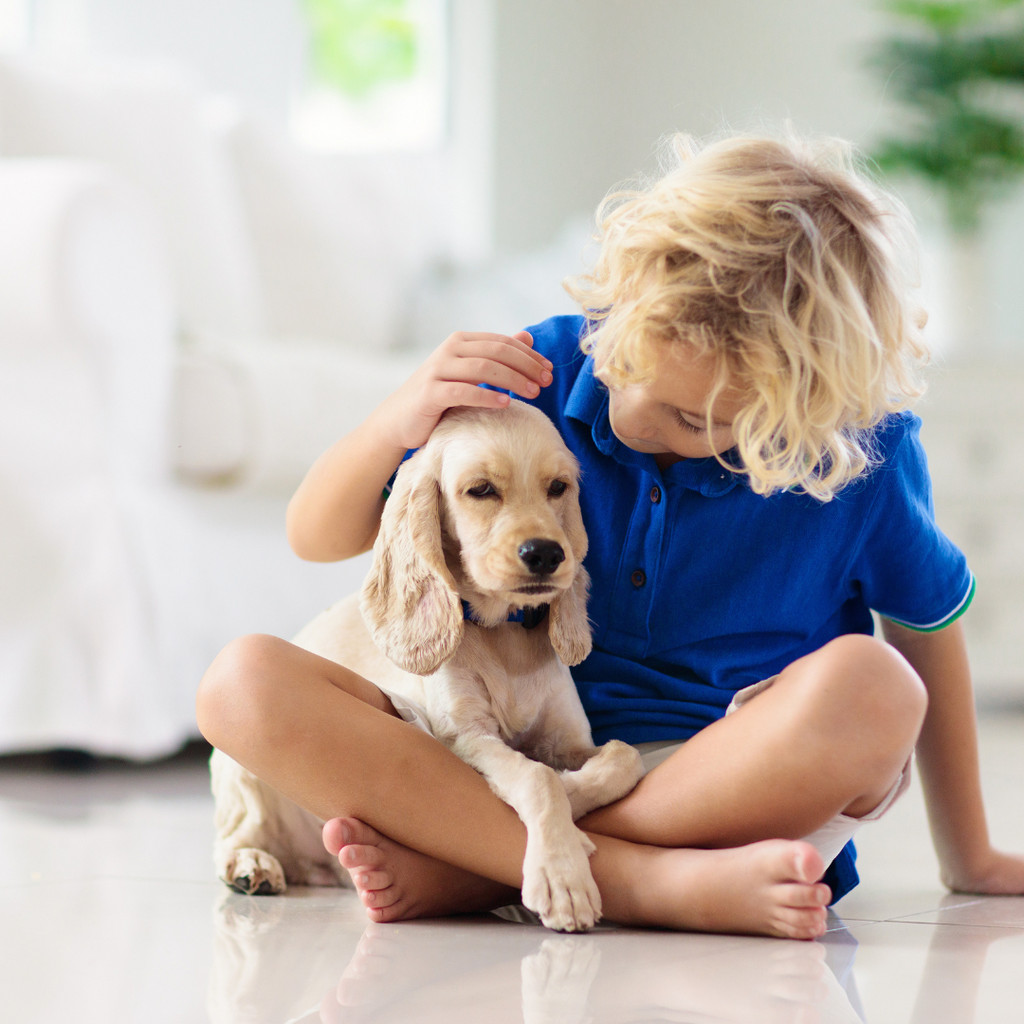 Les meilleurs jeux à faire avec son chien en intérieur pour l'occuper en hiver ❄️