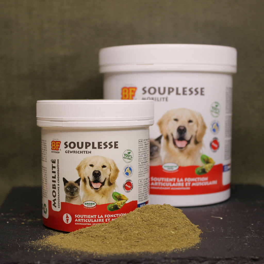 Chondroitine : ses bienfaits !