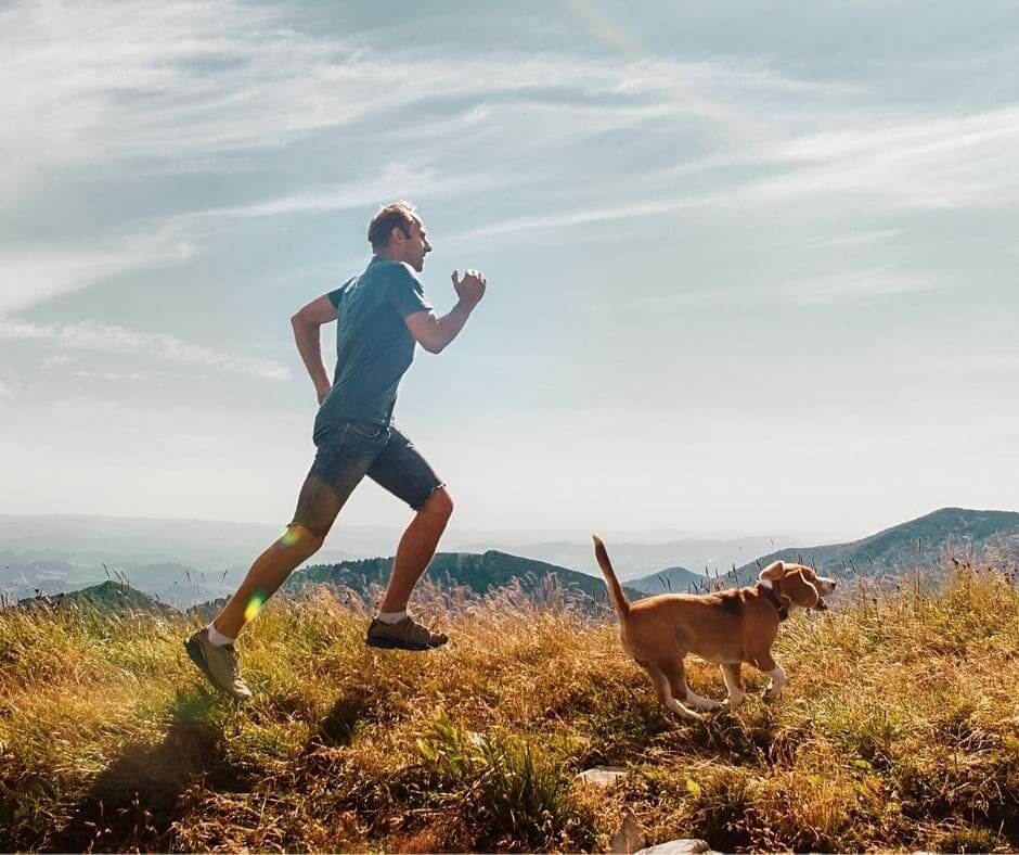 Vaut-il mieux marcher ou courir avec son chien ?