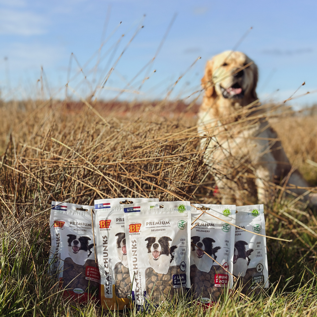 Tout savoir sur les emballages recyclables