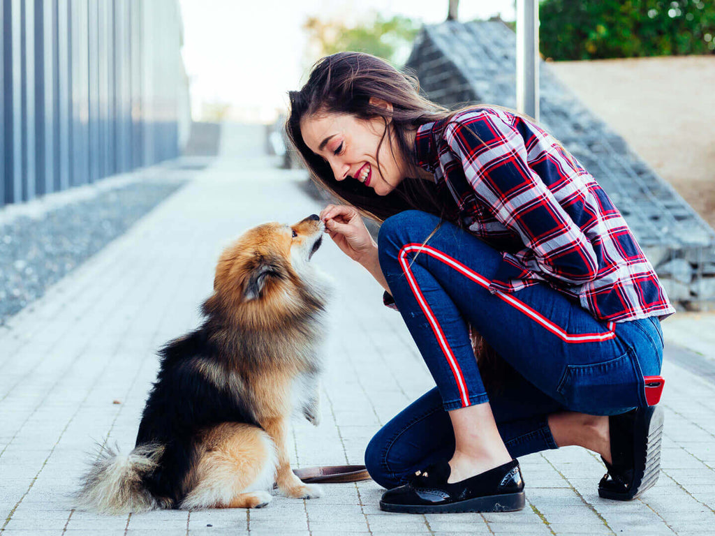 Les friandises pour chien sont-elles vraiment utiles ?