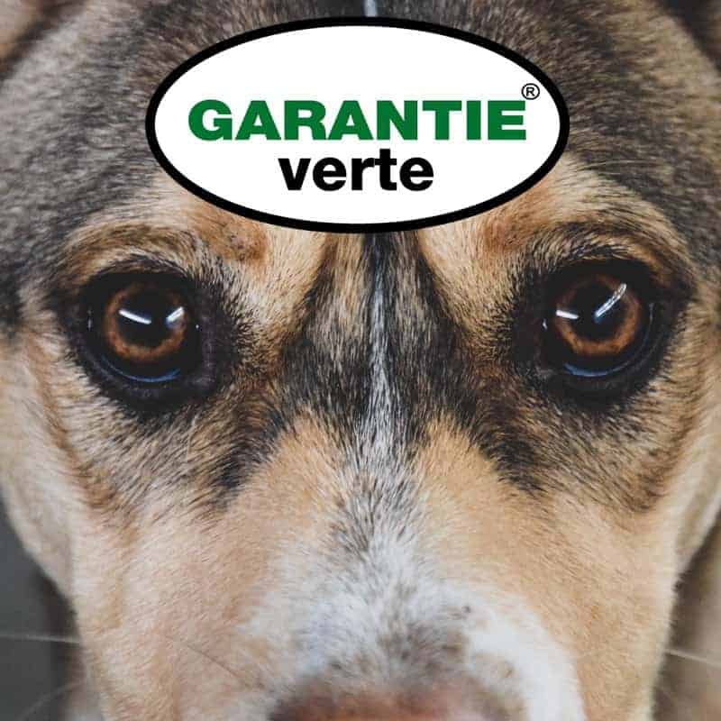 Garantie Verte Biofood : quels sont les avantages ?