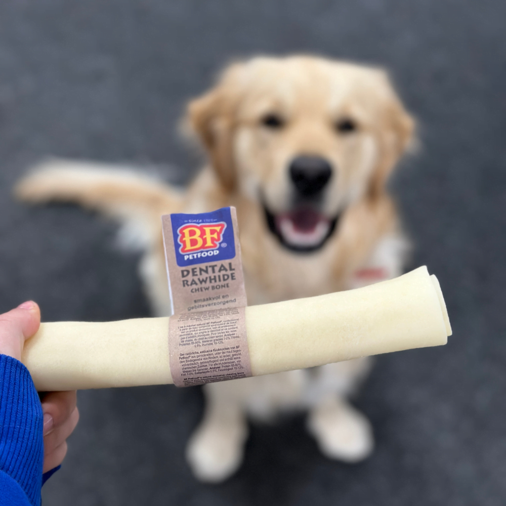 Os Pour Chien : Pourquoi les Biofood sont les meilleurs ?