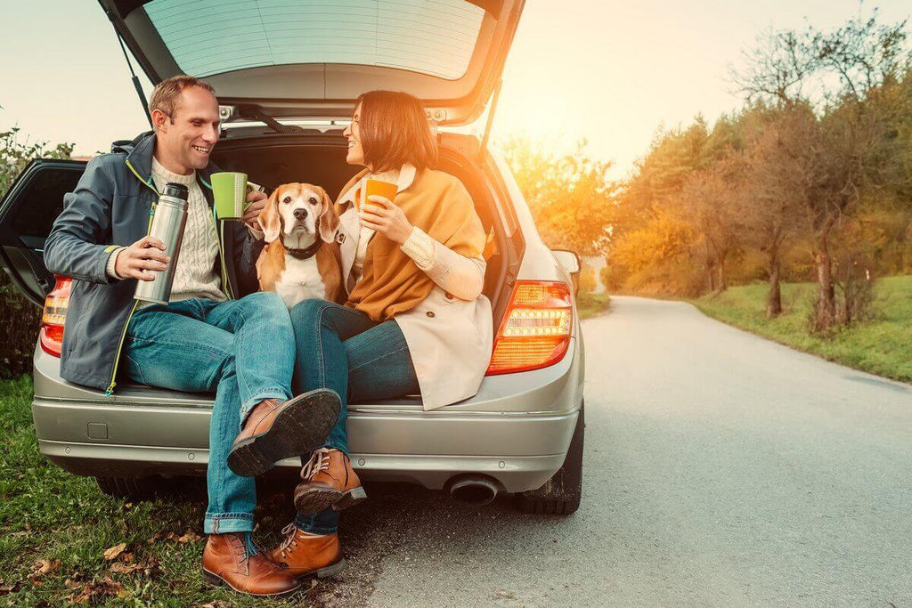 Voyager avec son chien : comment anticiper son stress ?