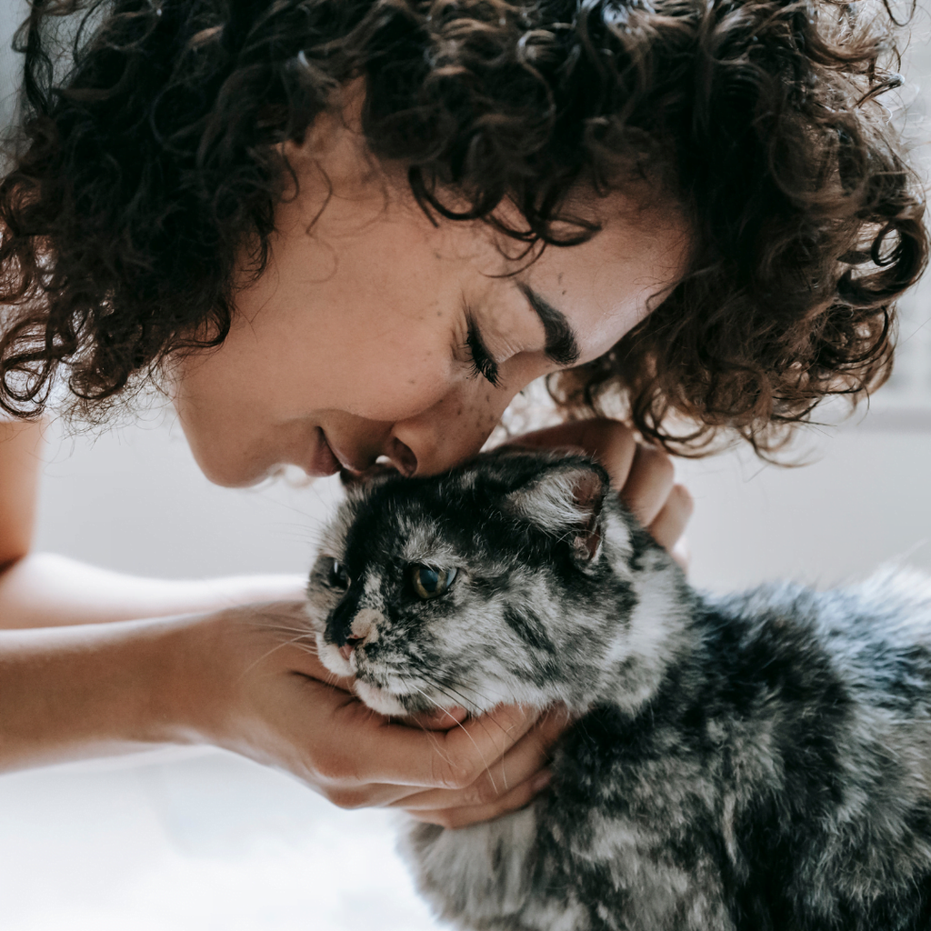 7 signes que votre animal de compagnie vous aime