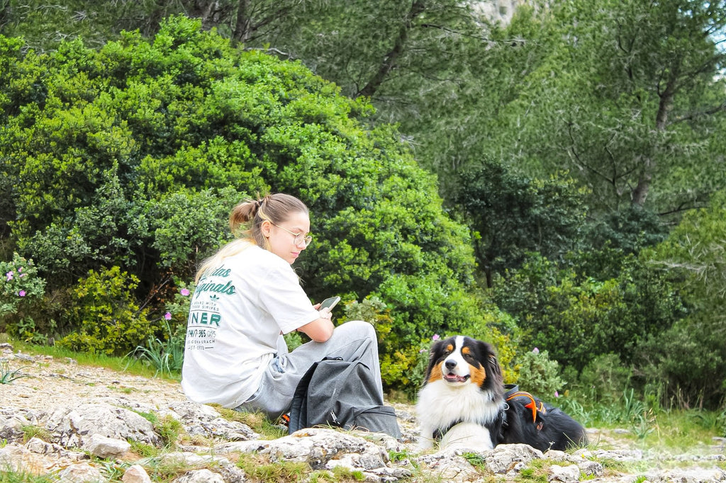 Apprendre des tours à son chien