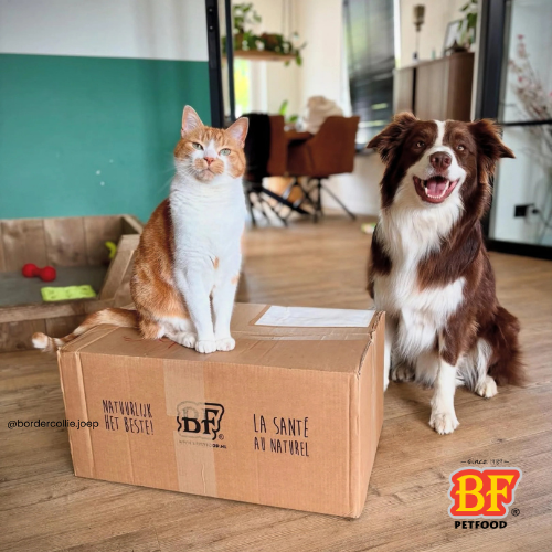 BF Petfood, l’alimentation naturelle depuis 1989