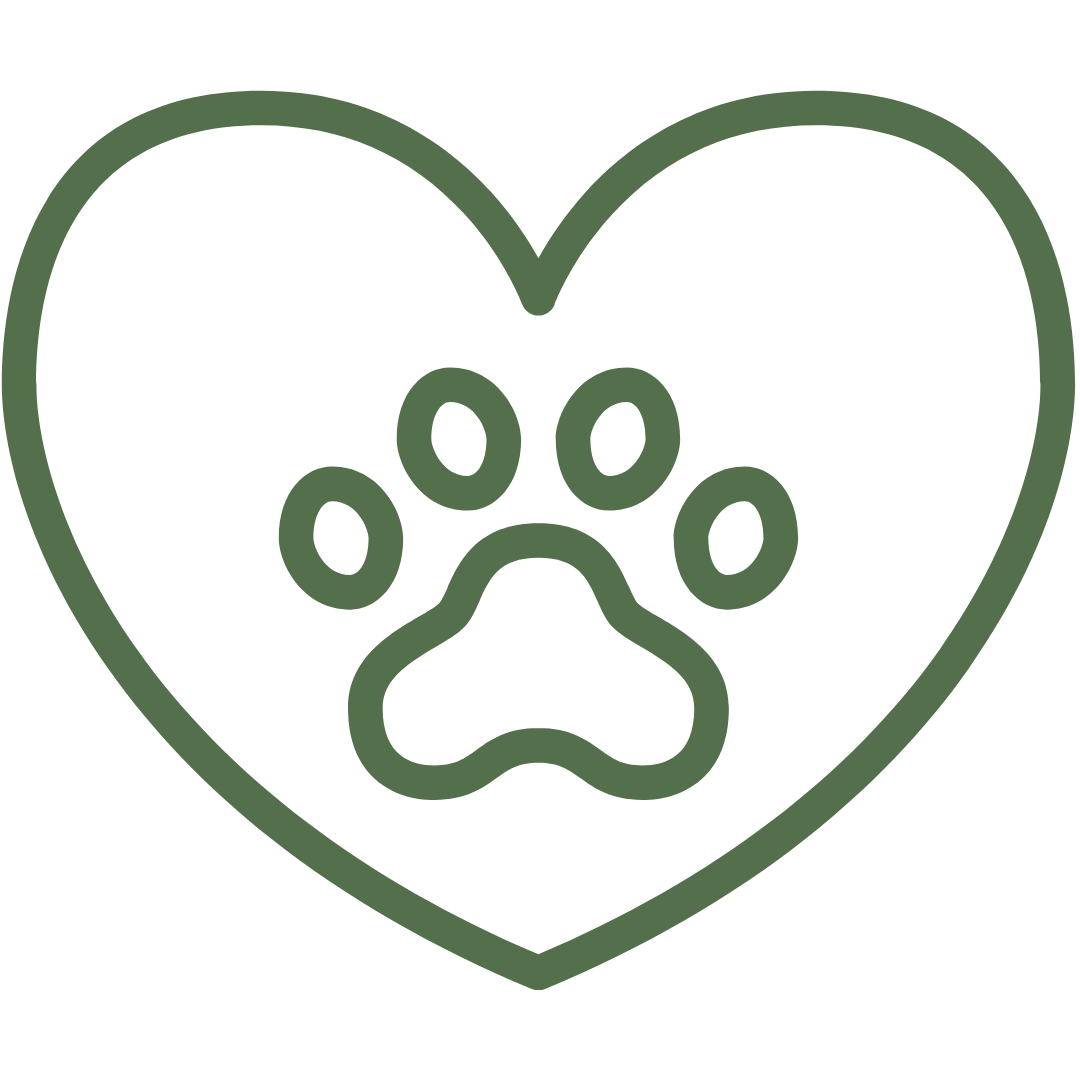 Soutien le système immunitaire