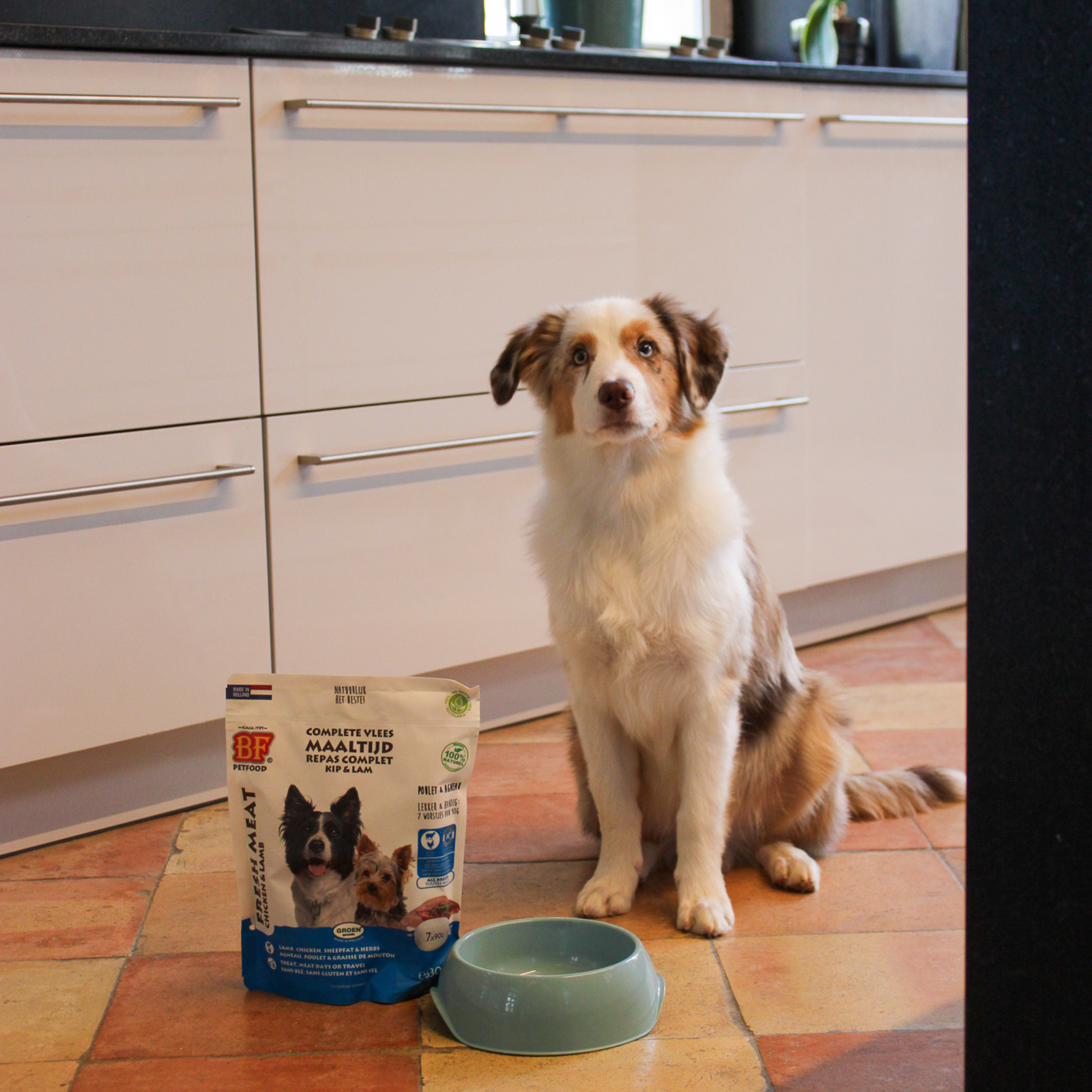 Chicken and lamb sausages for dogs