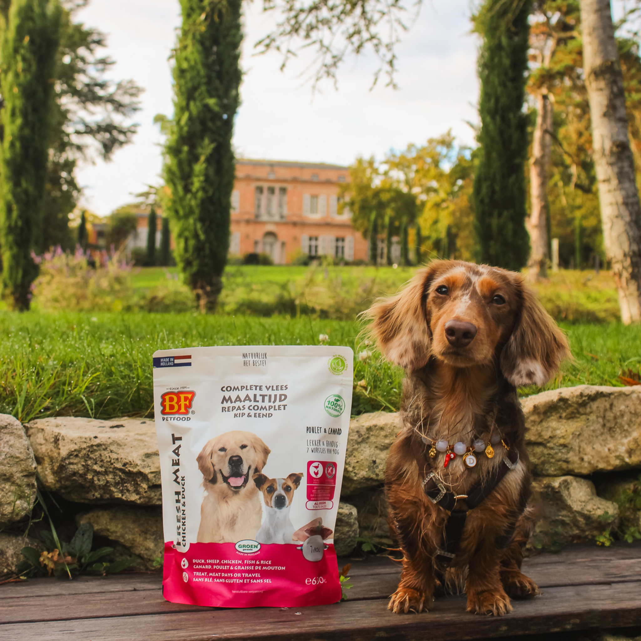 Chicken and duck sausages for dogs