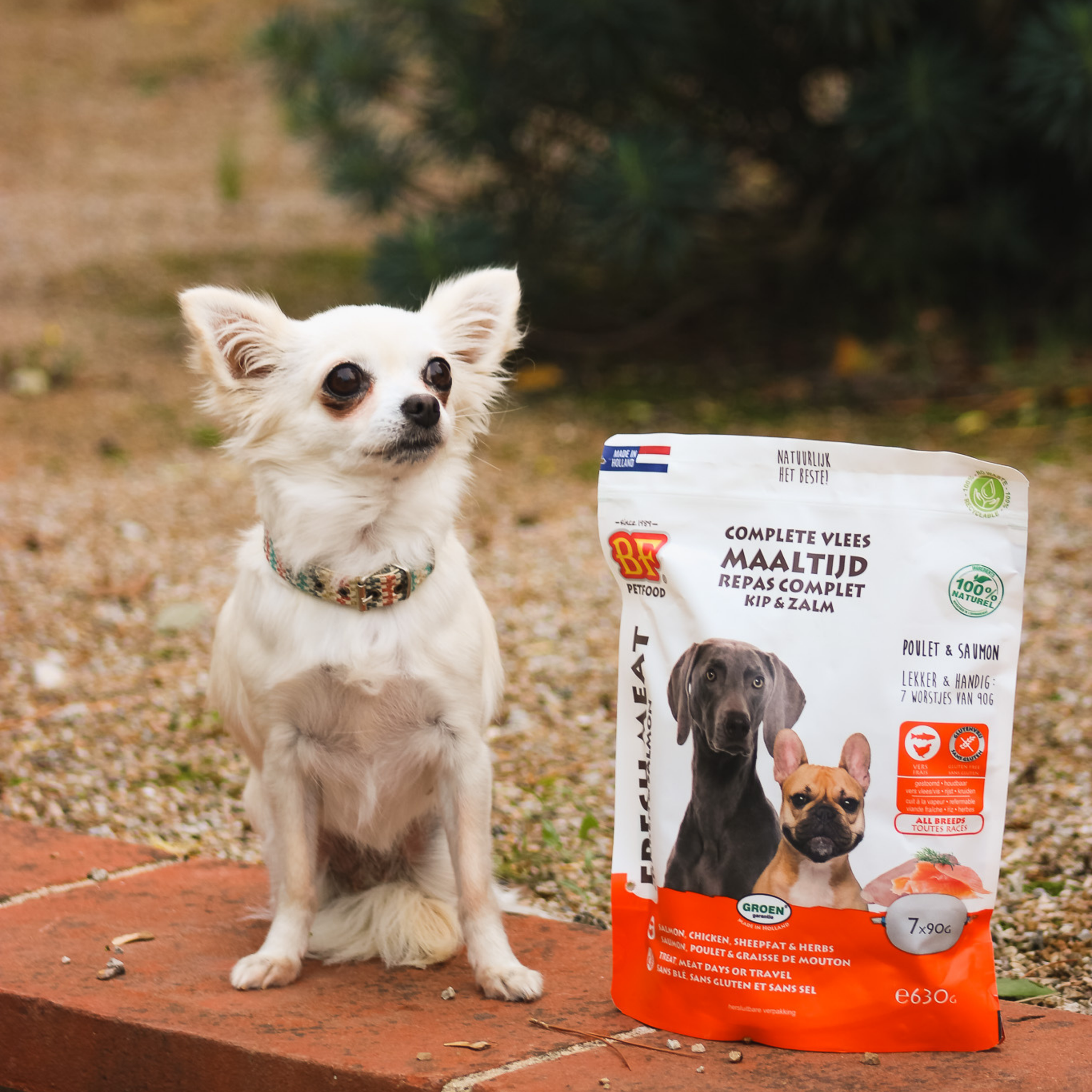 Chicken and salmon sausages for dogs