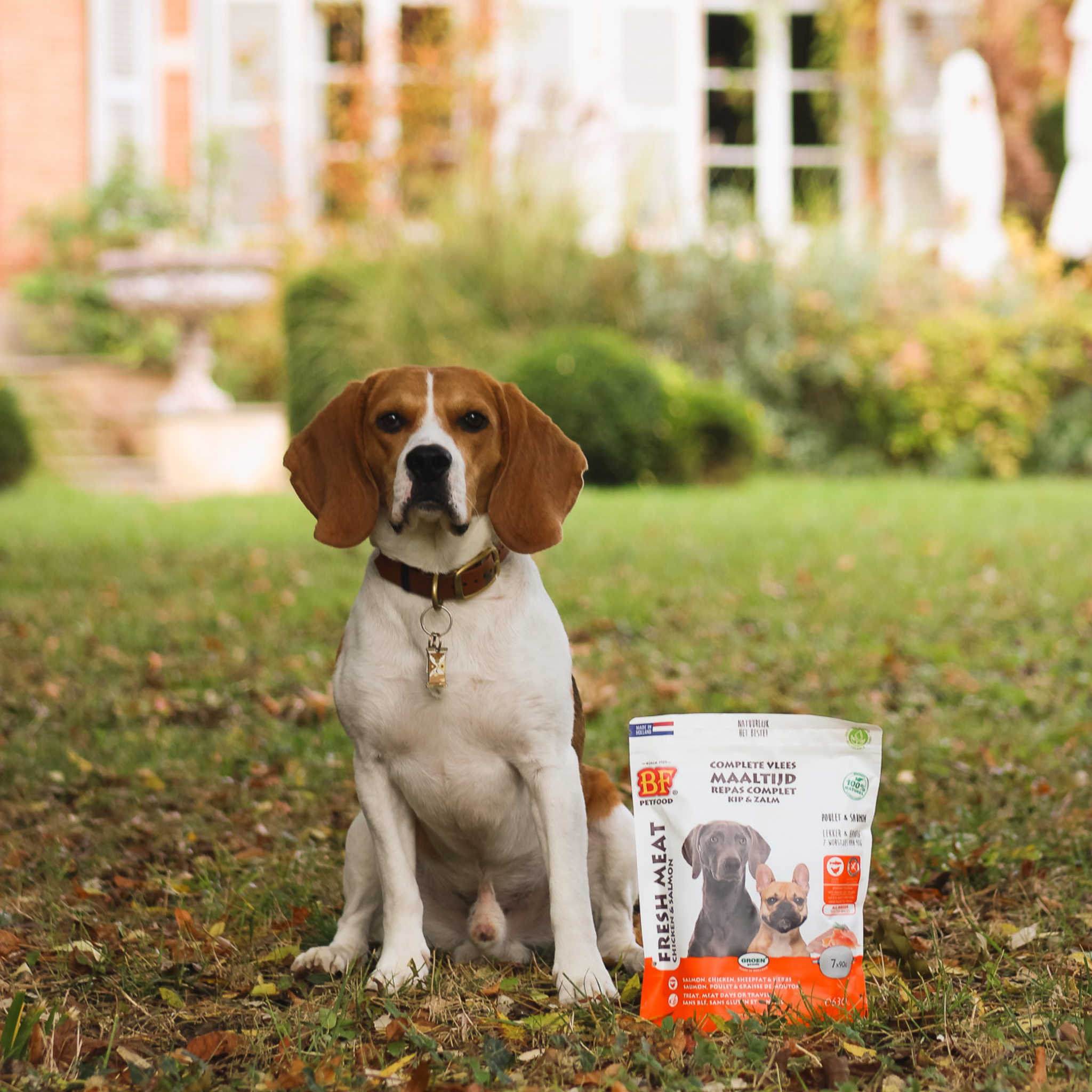 Chicken and salmon sausages for dogs