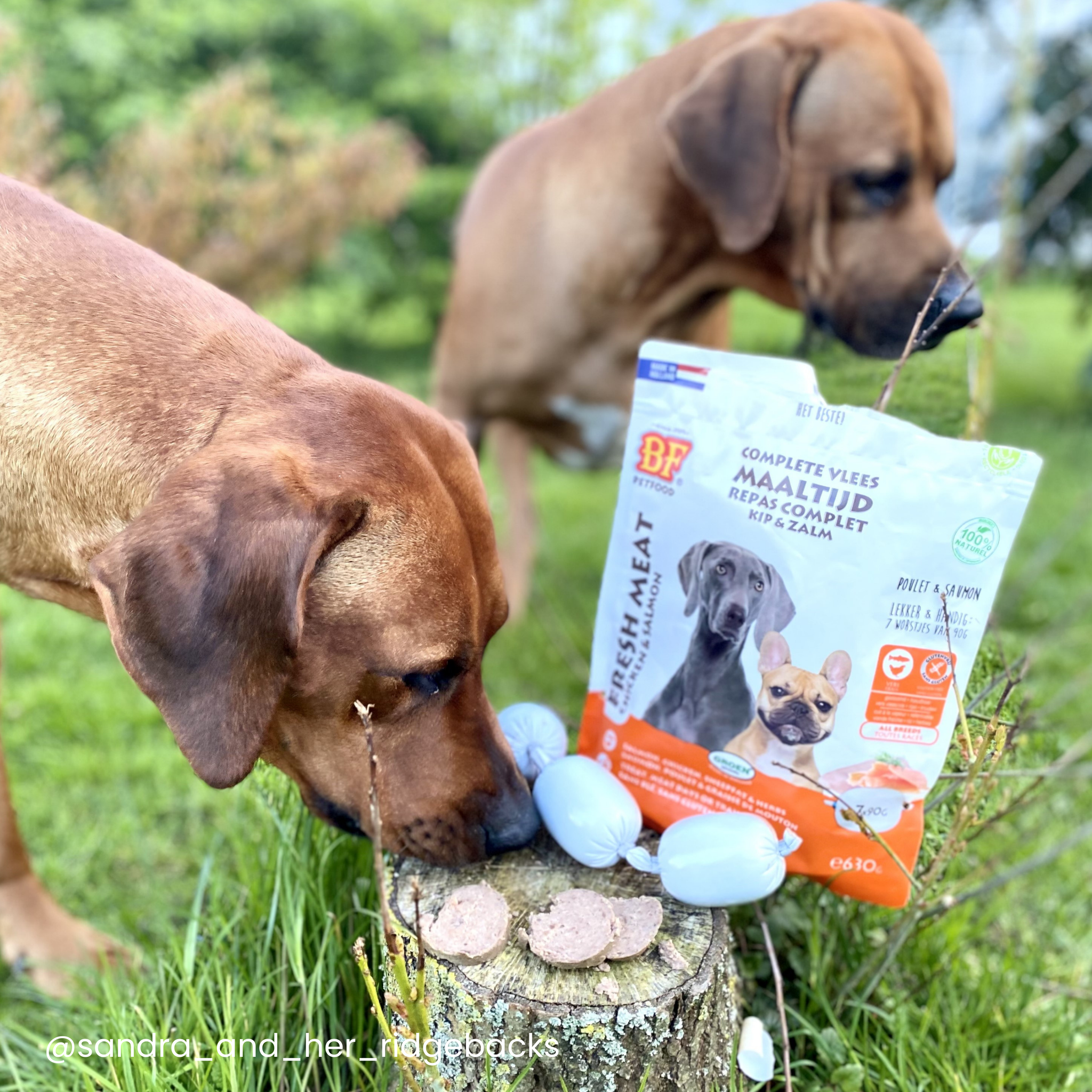 Chicken and salmon sausages for dogs