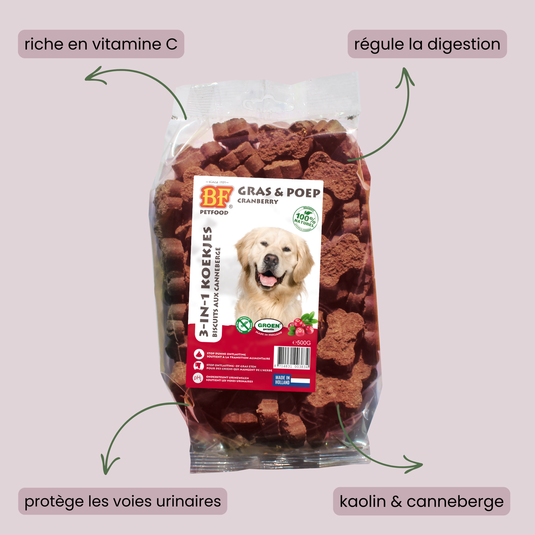 Cranberry Dog Biscuits