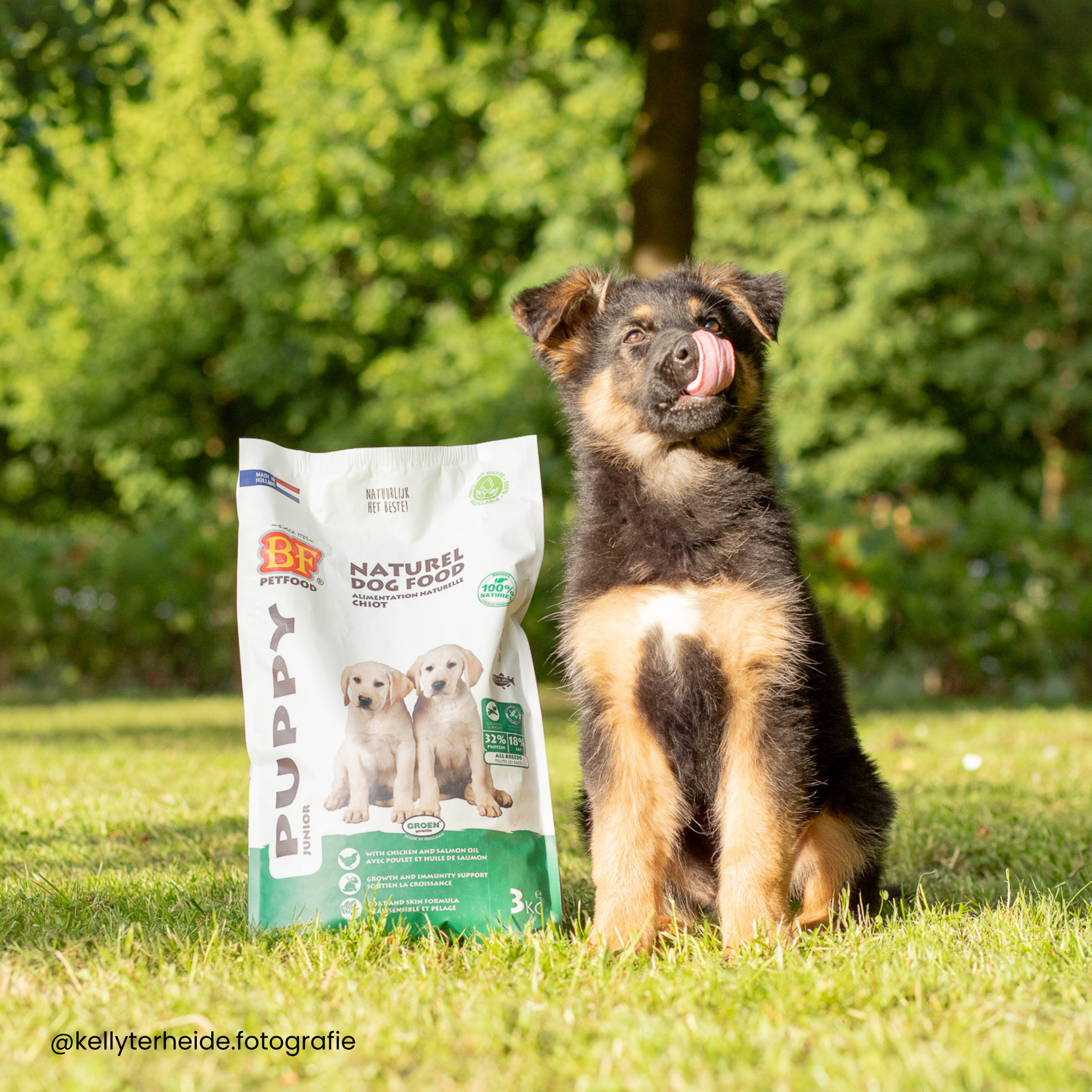 Puppy playpen for medium and large breeds