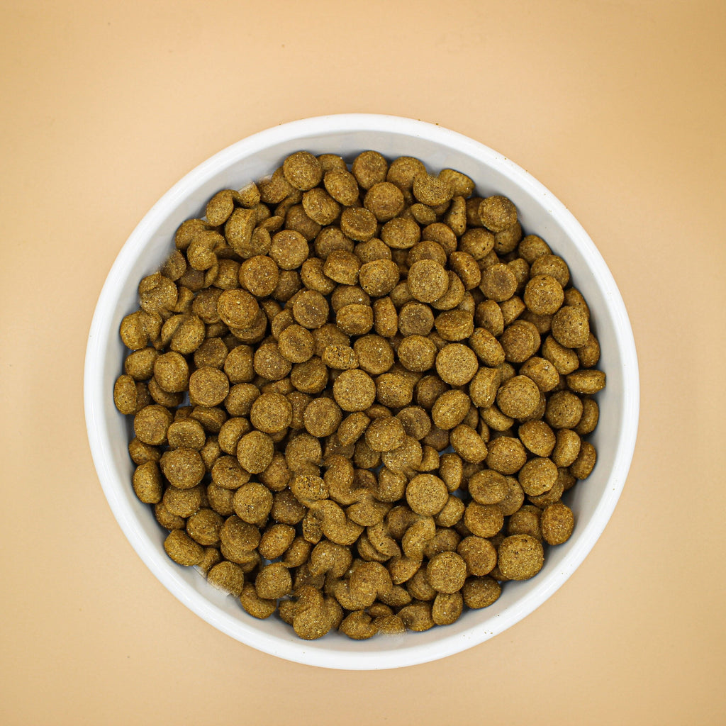 gamelle croquette bio