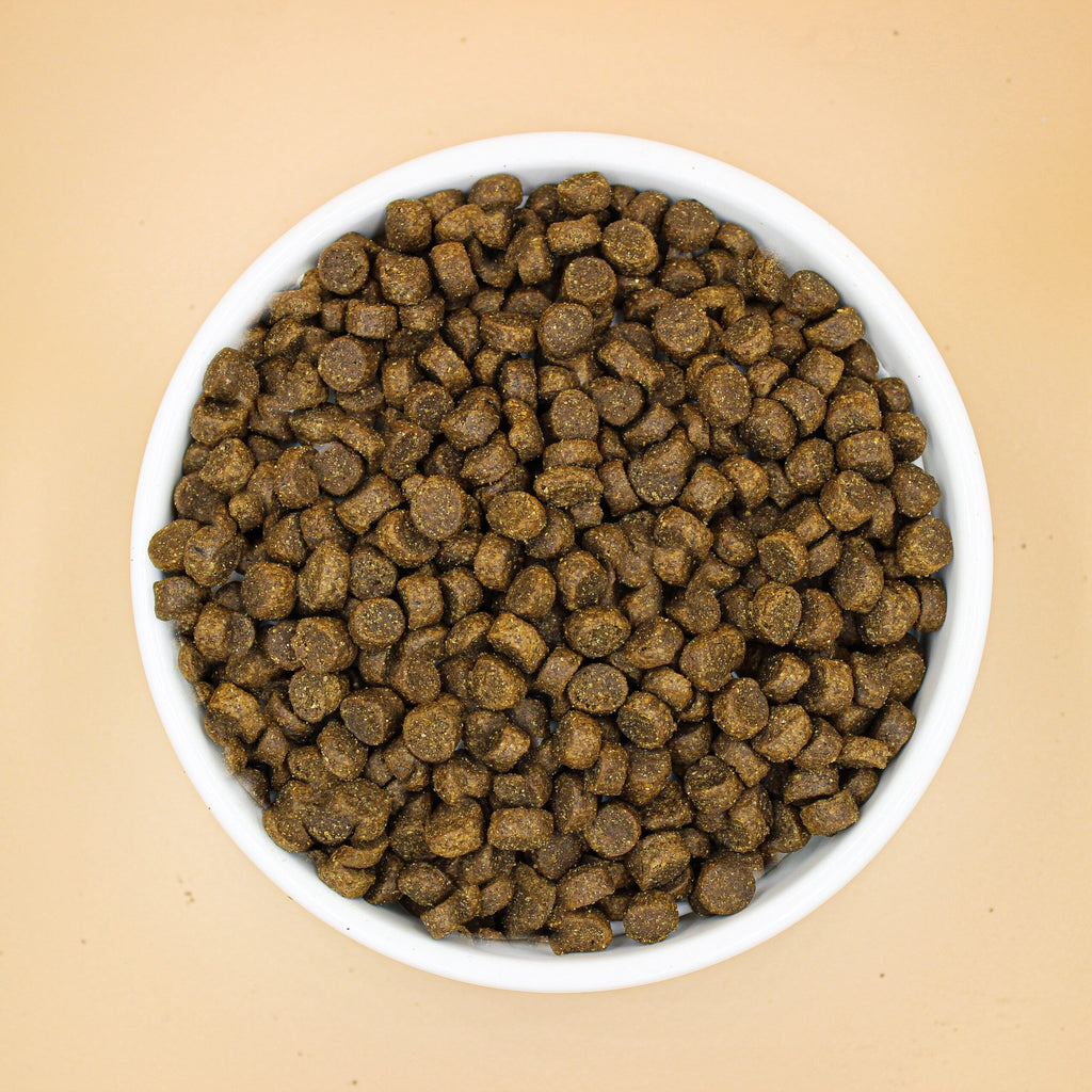 gamelle croquette mini adult