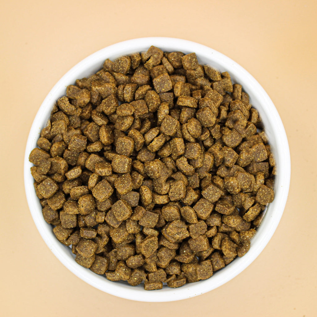 gamelle croquettes mini senior