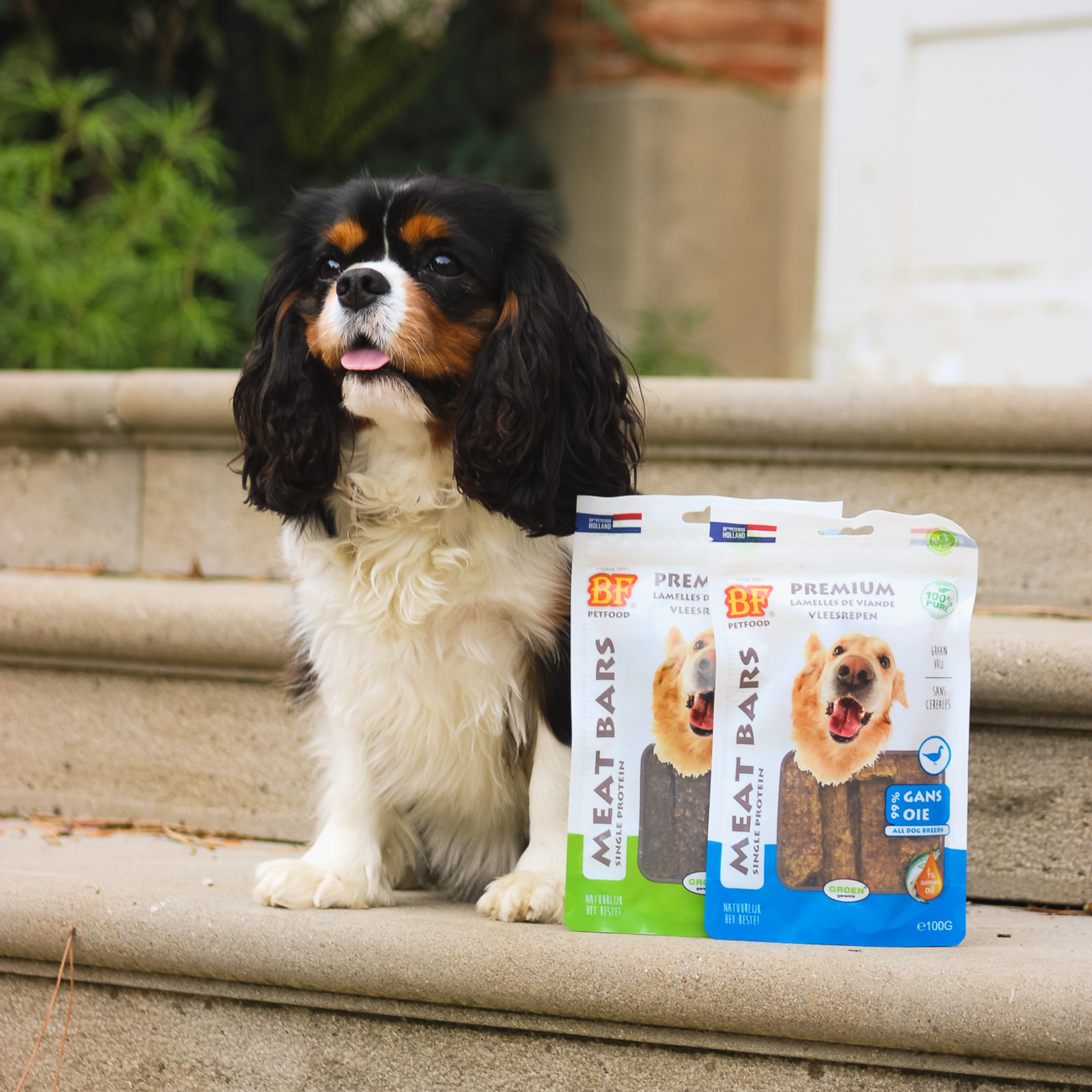 Dried goose meat strips for dogs