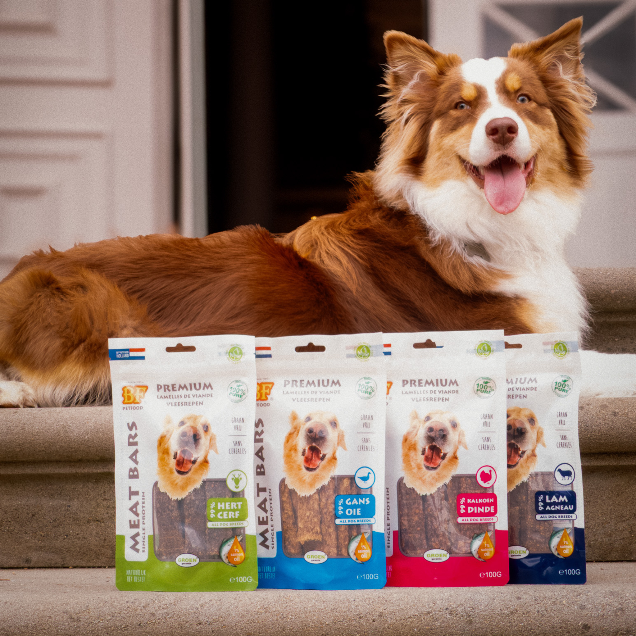 Dried lamb meat strips for dogs
