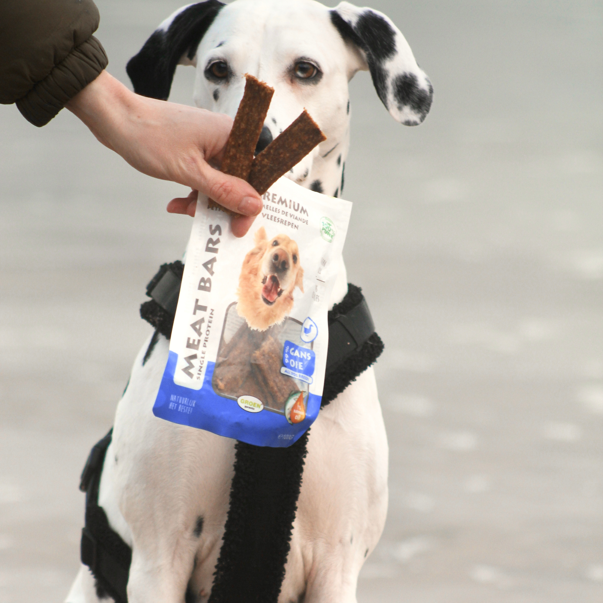 Dried goose meat strips for dogs