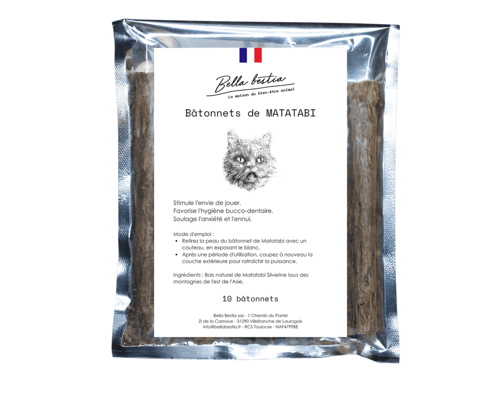 Matatabi chat bella bestia