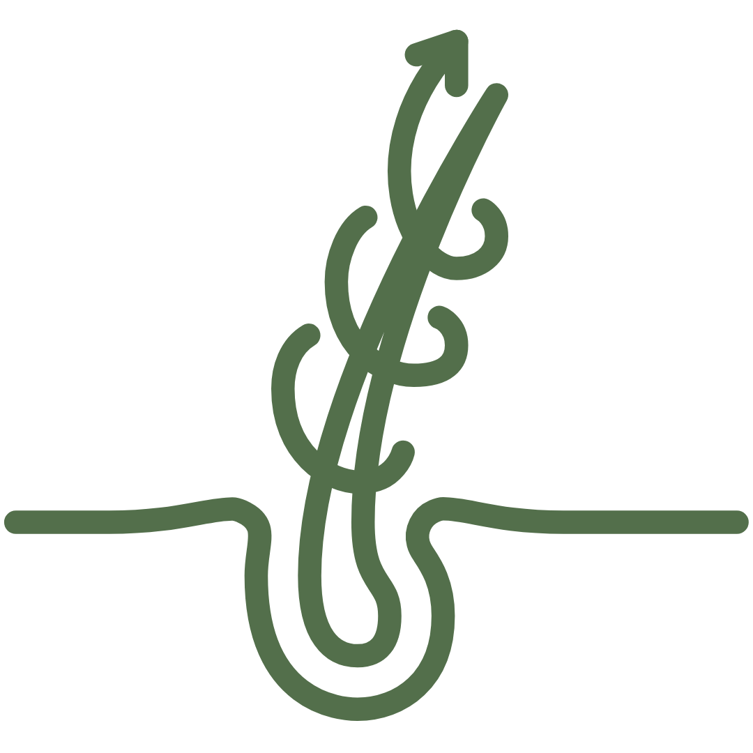 Nourrit et répare la fibre