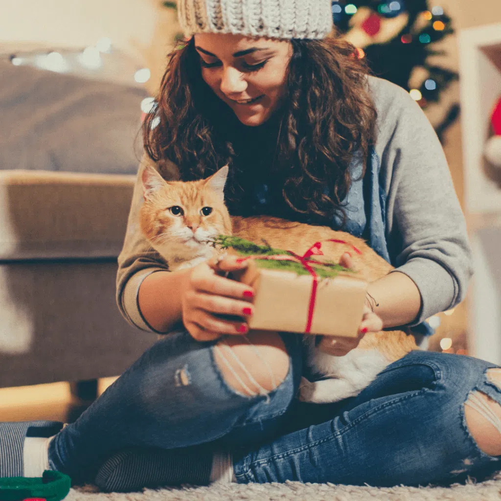 Jouet pour chat : nos idées de cadeaux de Noël pour les chats