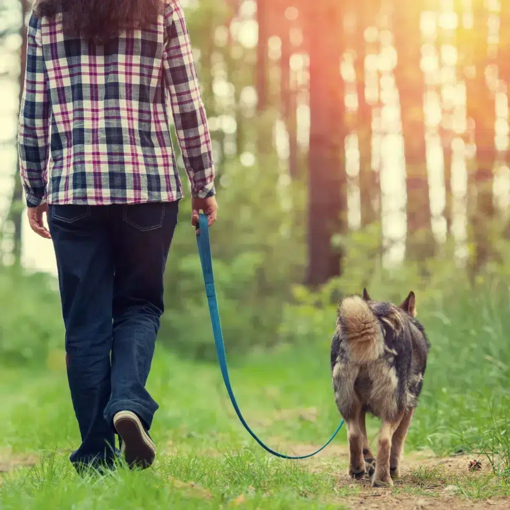 femme promenant un chien dans une forêt