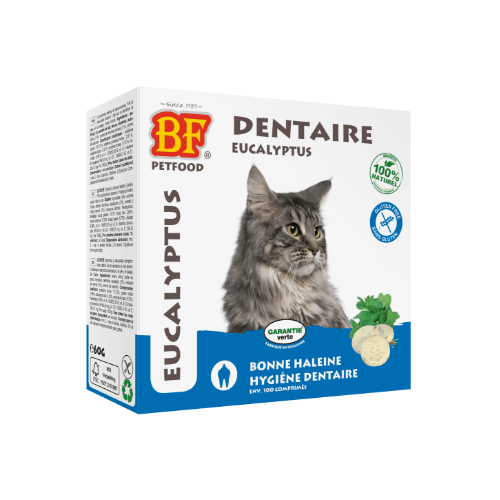 soin dentaire chat comprimes